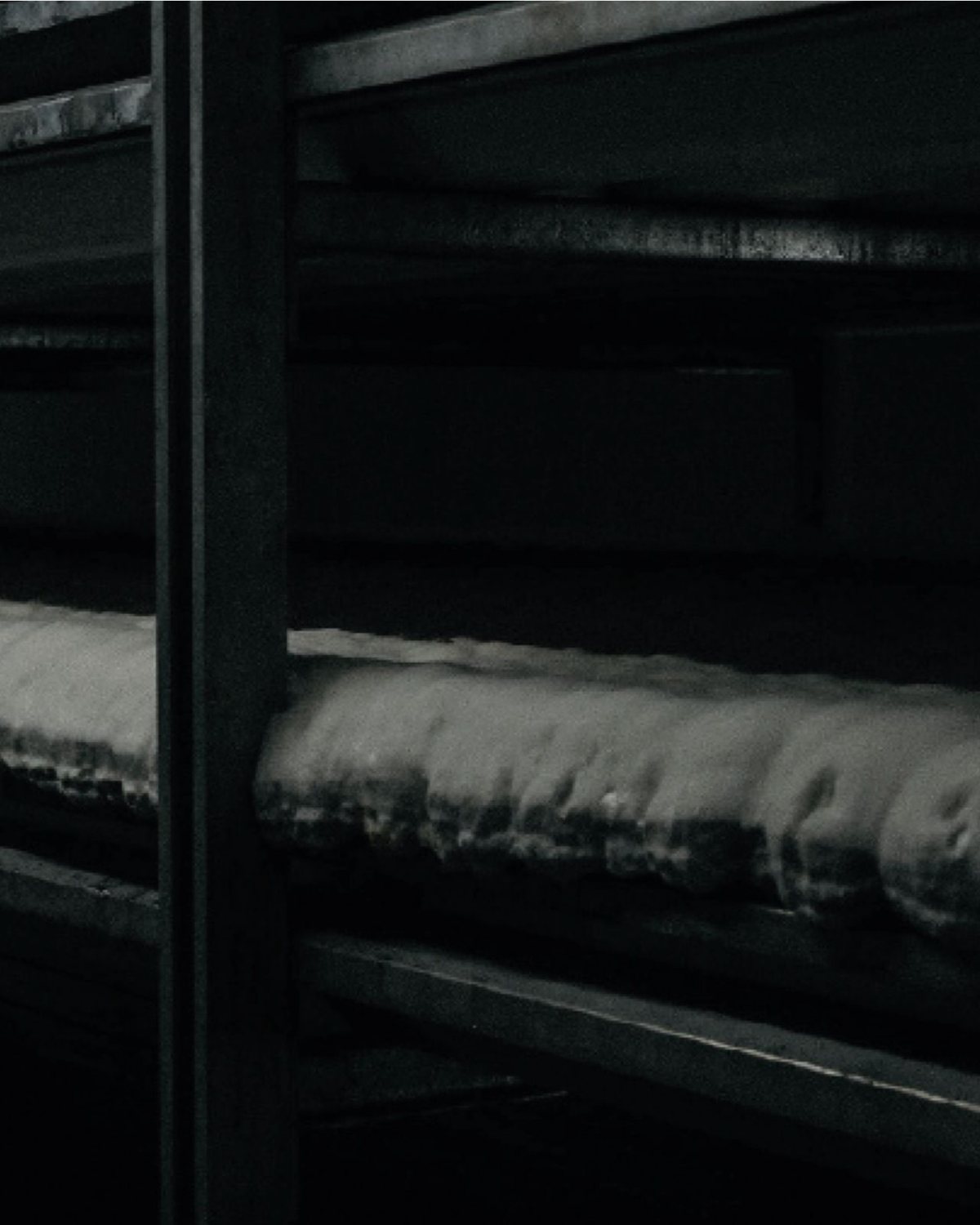 Mycelium growing on shelving inside the production facility